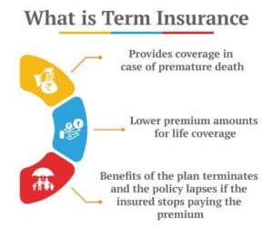 Best Term Insurance plan In India 2024